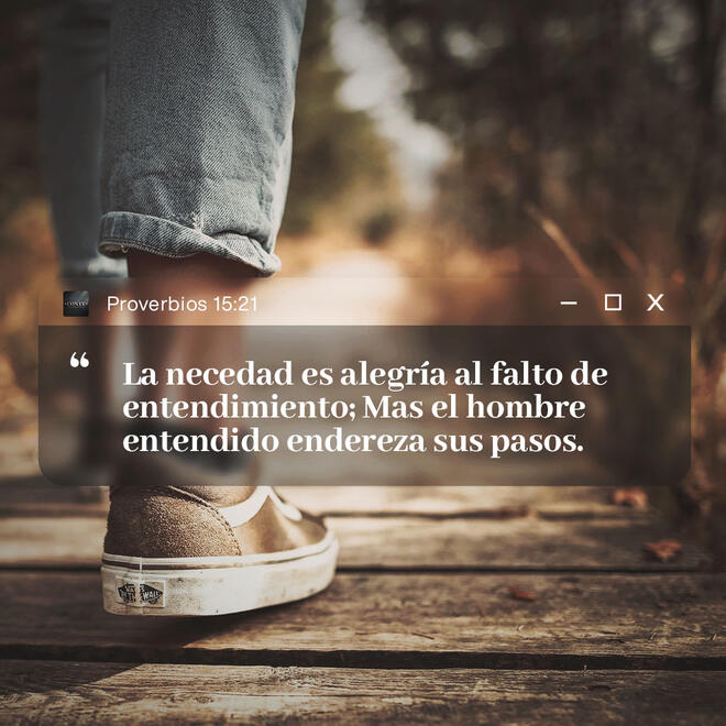 Proverbios 15:21