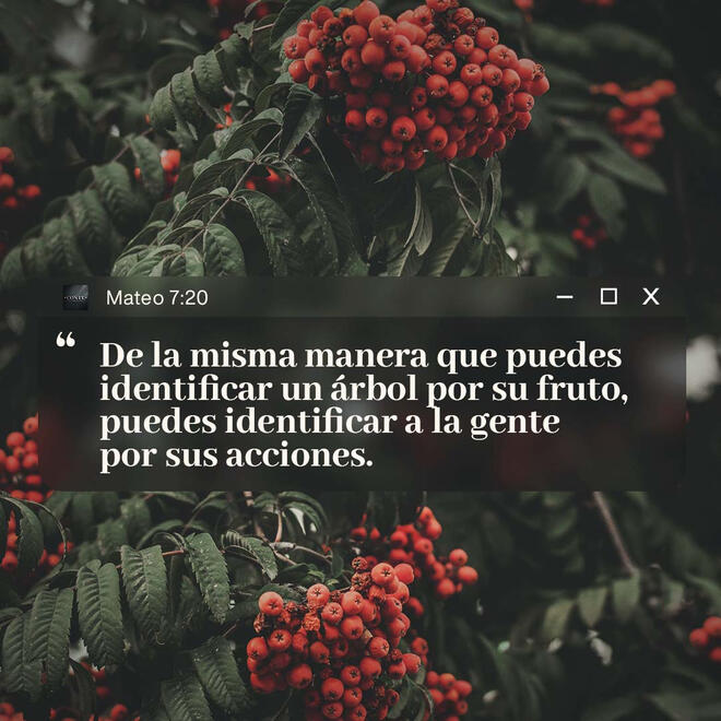 Mateo 7:20